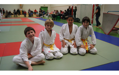 TOURNOI PRE-POUSSINS/POUSSINS RUGLES LYRES LE 22 NOV 2014