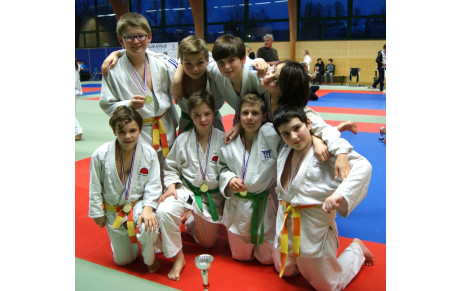 TOURNOI PAR EQUIPE BENJAMINS LA SAUSSAYE LE 27 JANVIER 2018