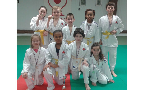 TOURNOI PRE-POUSSINS POUSSINS LA SAUSSAYE LE 28-01-2018