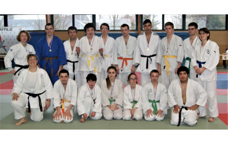TOURNOI JUDO SPORT ADAPTE LA SAUSSAYE LE 26-01-2019