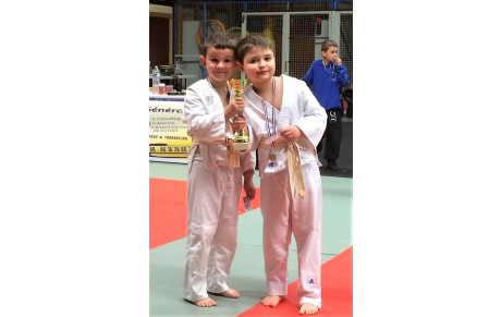 TOURNOI PRE-POUSSINS POUSSINS BRIONNE LE 25-02-2019